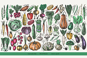Garden vegetables sketches, a Food Illustration by katya.bogina (Thumbnail 1 of 3)