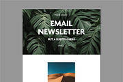 Email Newsletter Layout, an Email Template by tomsarraipodesign (Thumbnail 2 of 2)