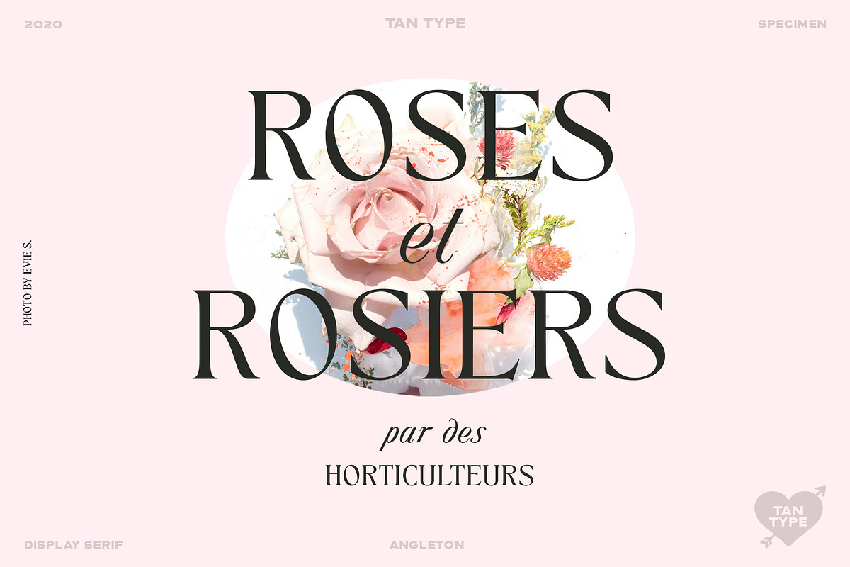 TAN - ANGLETON, a Serif Font by TanType (Photo 9 of 16)