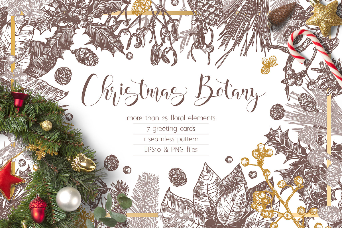 Christmas Botany, a Decorative Illustration by alexrockheart (Photo 1 of 7)