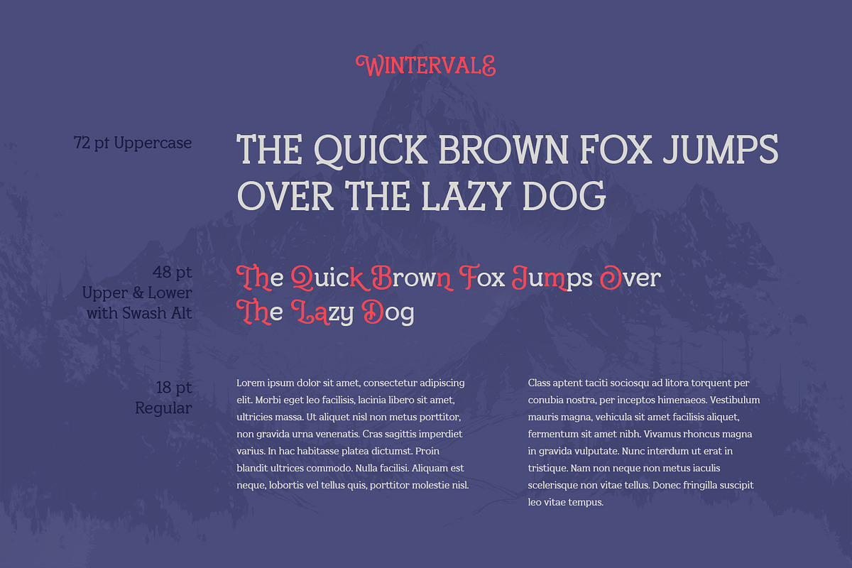 Wintervale – Stylistic Slab Serif, a Slab Serif Font by Almarkhatype (Photo 3 of 13)