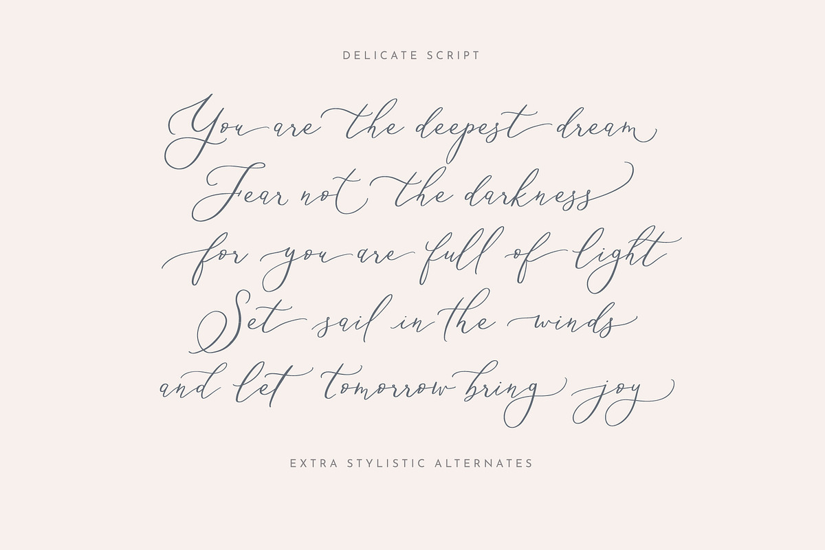 Delicate Elegant Script & Ornaments preview 2