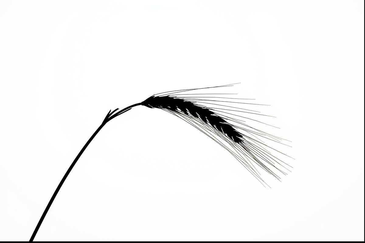 Wheat Clipart Vector Pack, an Illustration by jahid234 (Photo 6 of 9)