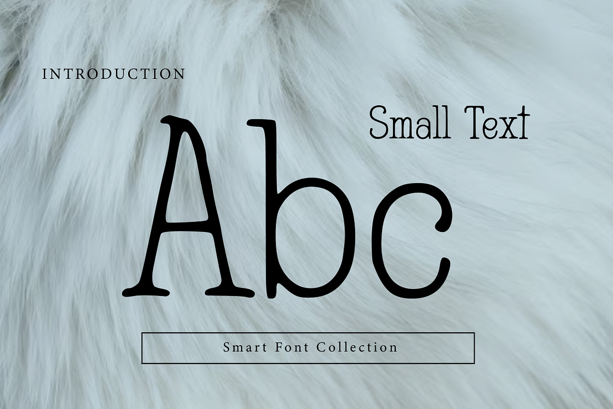 Small Text, a Serif Font by Wow Magic (Photo 2 of 3)