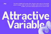 Attractive Variable (18 Fonts), a Serif Font by IM Studio (Thumbnail 1 of 12)