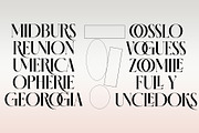 glossy - a modern serif, a Serif Font by INKSUN™ (Thumbnail 10 of 11)