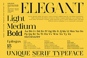 Epilogus - Serif font family, a Serif Font by Artistic & Unique (Thumbnail 9 of 15)