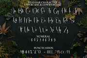 Satisfy, a Handwritten Font by FreshTypeINK (Thumbnail 7 of 8)