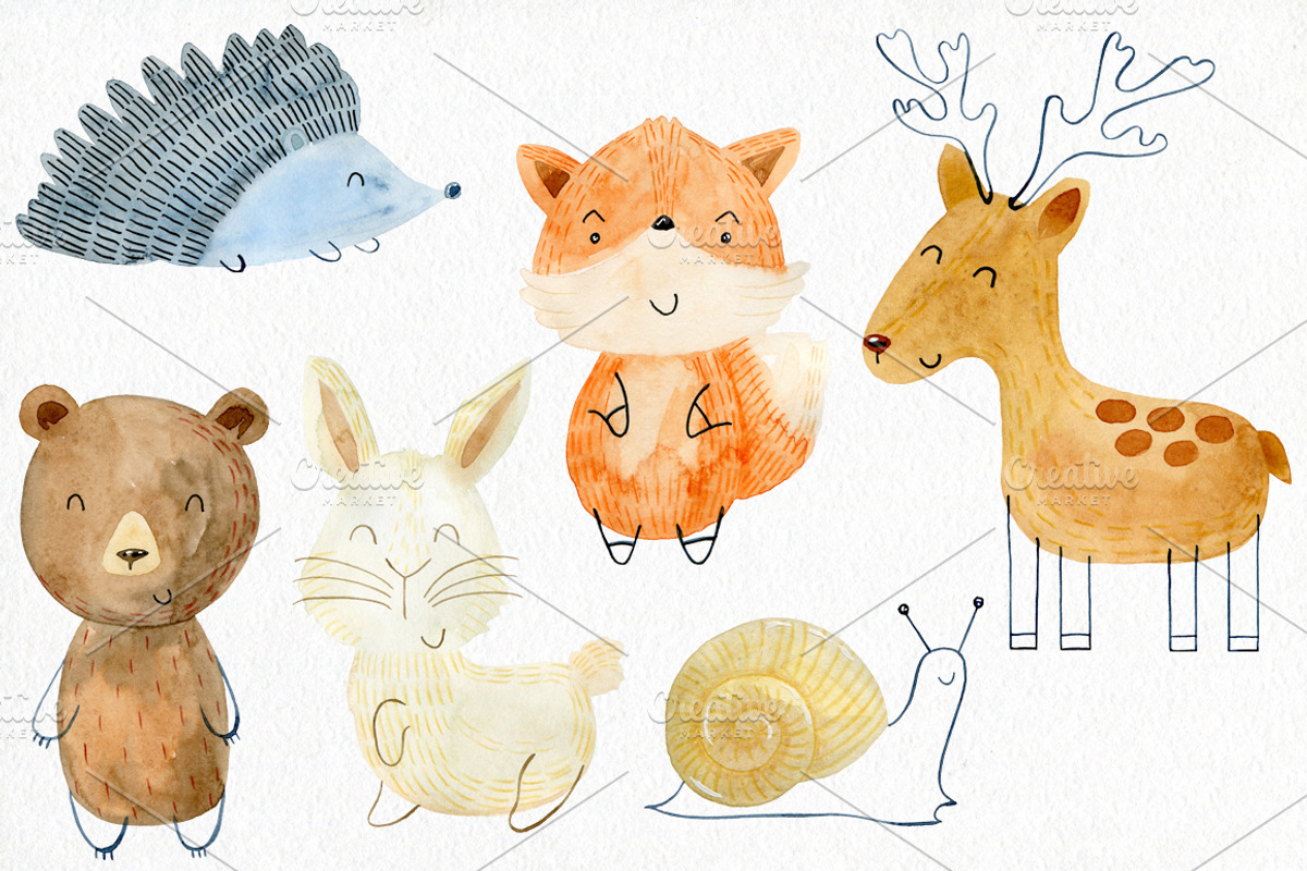 70% off. Bundle. Woodland animals., an Animal Illustration by TaPilipa (Photo 21 of 38)