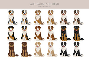 Australian Shepherd Dog Clipart