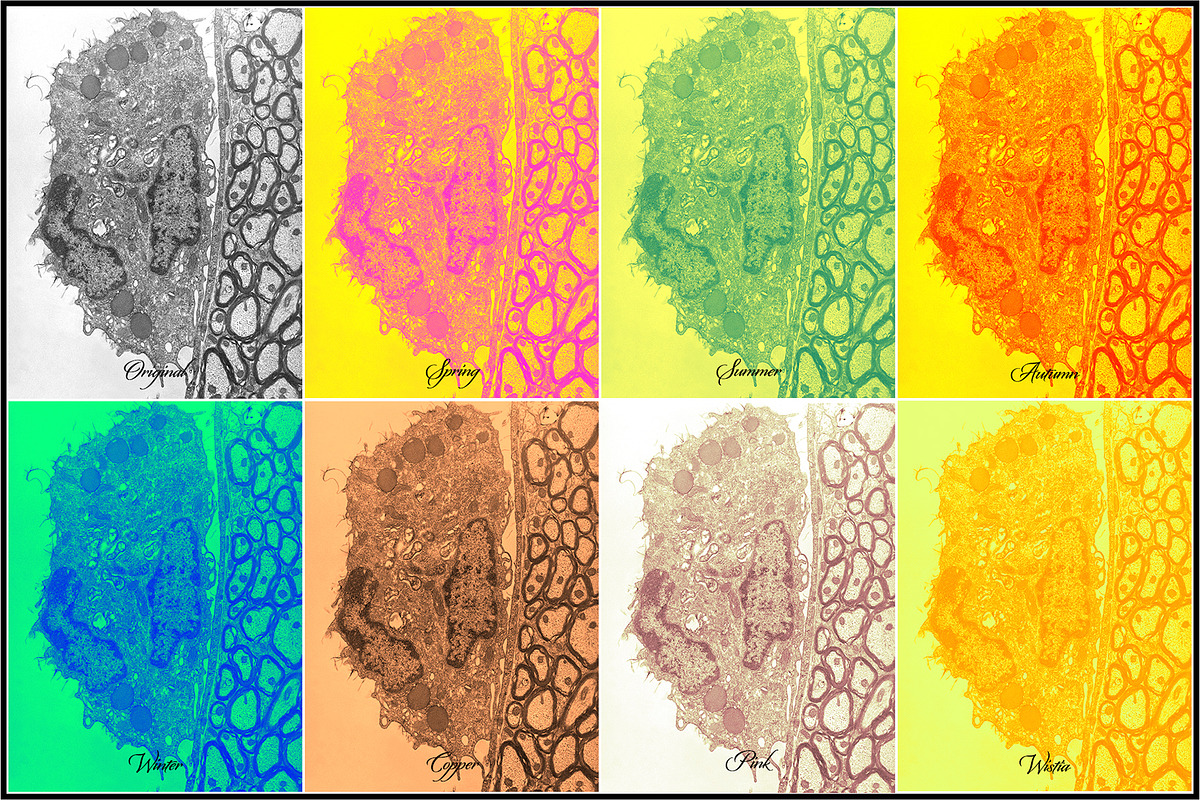 Science Visualization LUTs Vol. 1 preview 8