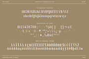 Brayena Elegant Serif Font, a Serif Font by RantautypeStudio (Thumbnail 19 of 19)