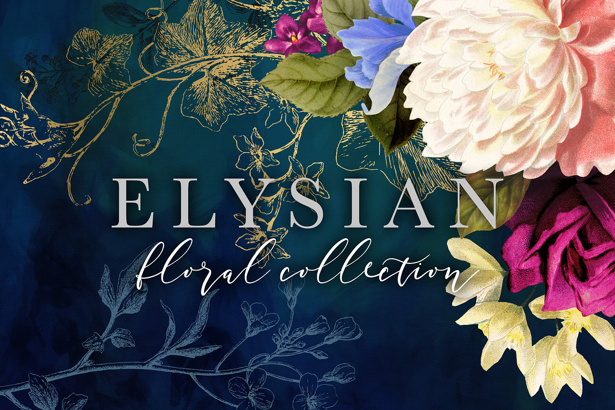 Elysian Floral Collection, an Illustration by Eclectic Anthology (Photo 1 of 15)