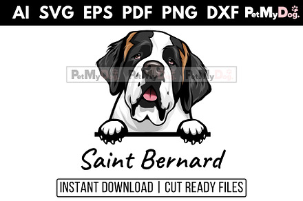 Saint Bernard - Peeking Dog, an Animal Illustration by Pet My Dog