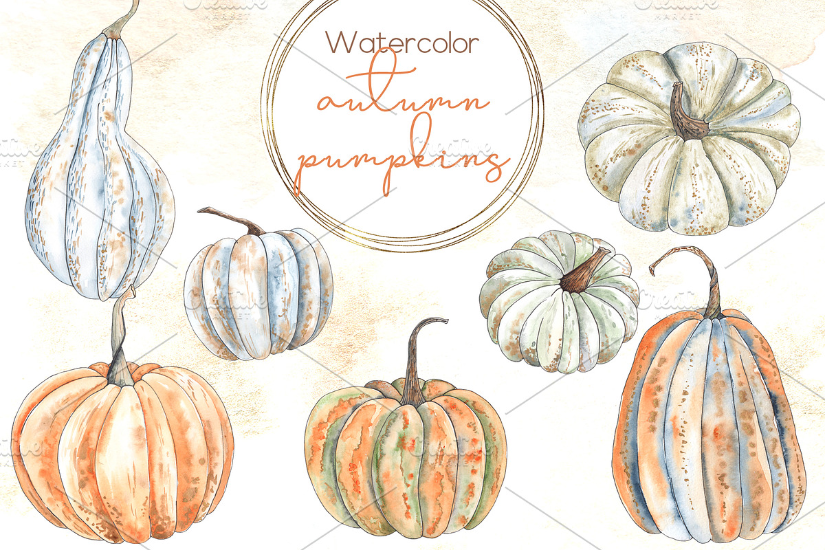 Pumpkins. Watercolor collection, an Object Graphic by Ana-Sakuta (Photo 2 of 17)