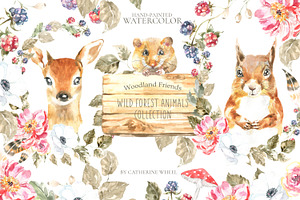 Boho Watercolor Woodland Animals