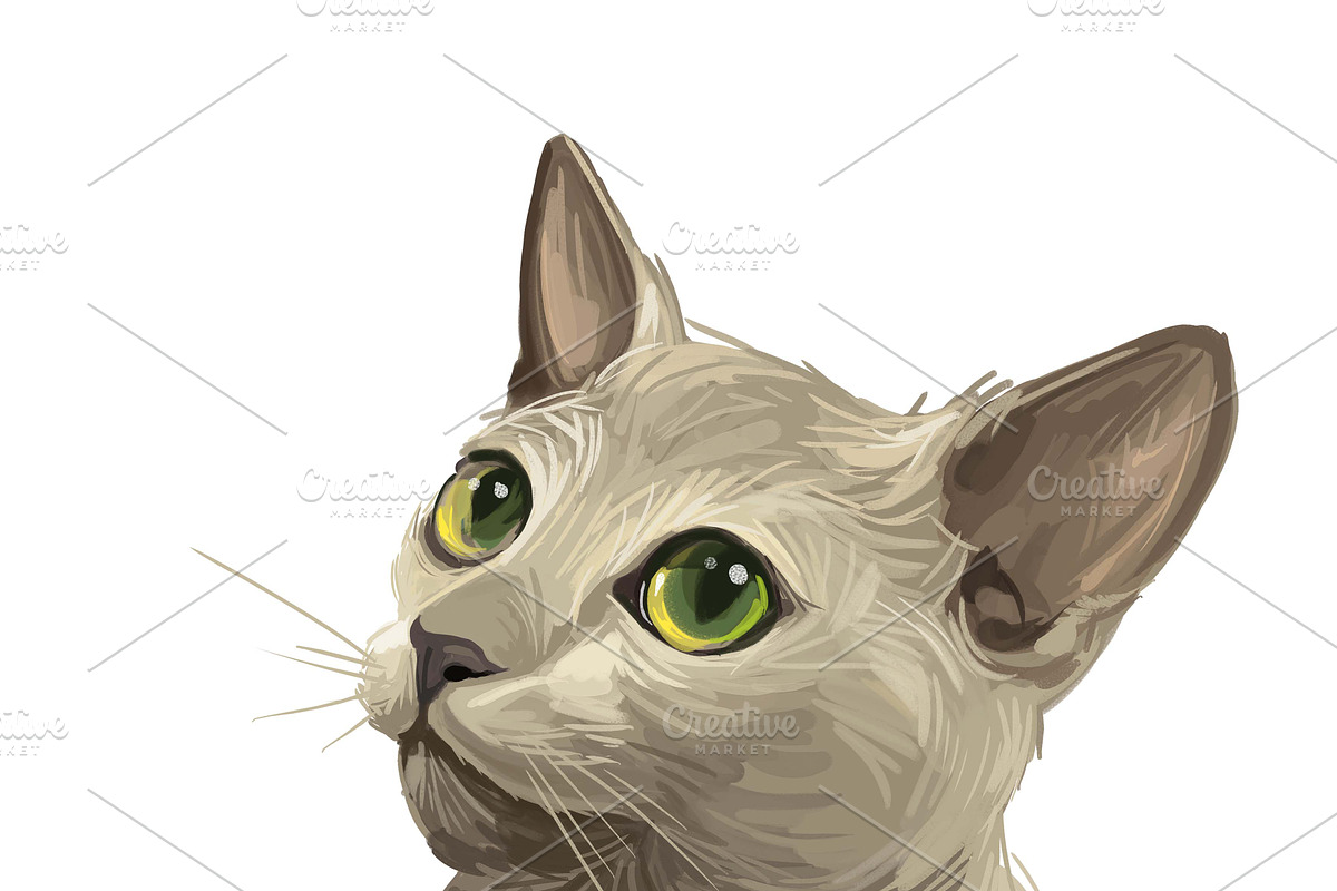 Cats and Kittens, 160 png breeds, an Animal Illustration by Dneprstock (Photo 9 of 11)