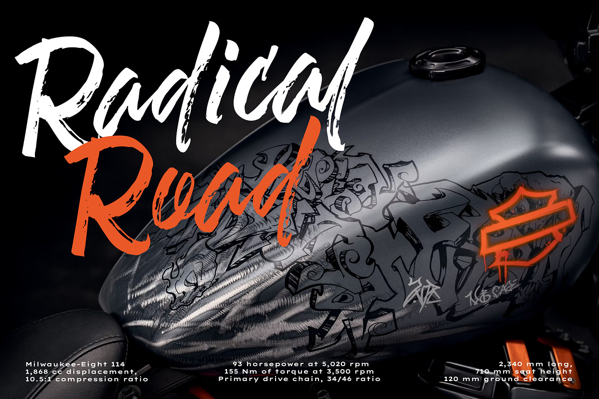 Stallion Beatsides - Dry Brush Font, a Handwritten Font by VASTARD STUDIO (Photo 7 of 12)