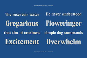 Ruminate Nuance - Classic Serif