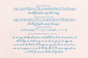 Pink Champagne Script, a Handwritten Font by Nicky Laatz (Thumbnail 21 of 21)