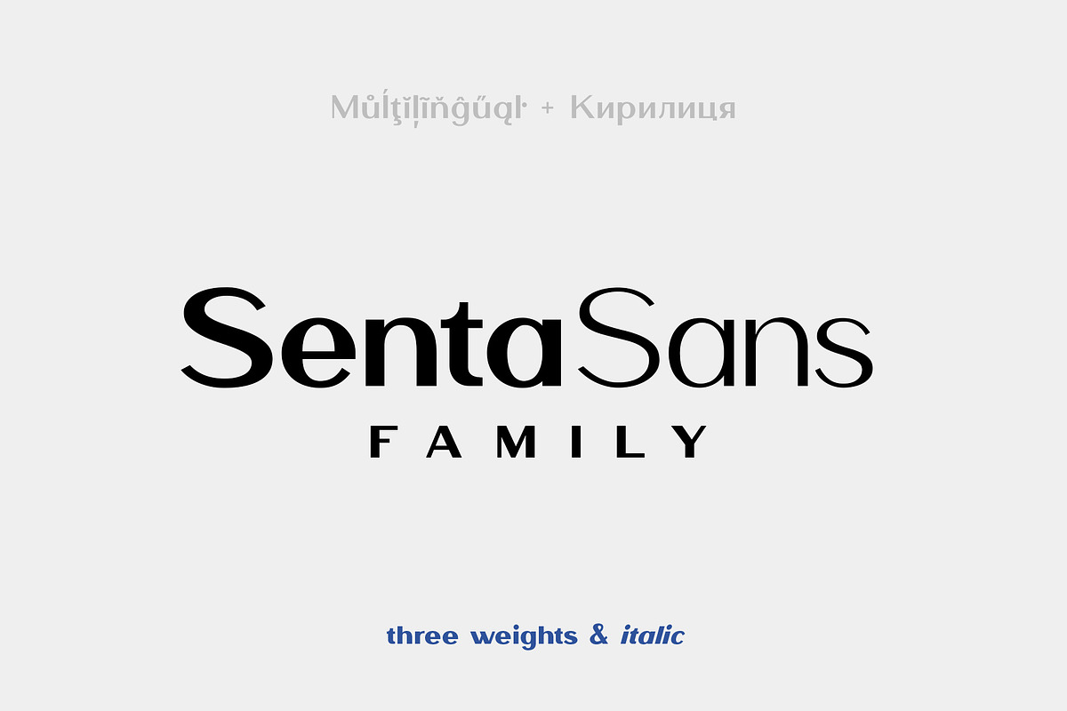 SentaSans Font Family, a Sans Serif Font by Sentavio (Photo 1 of 10)