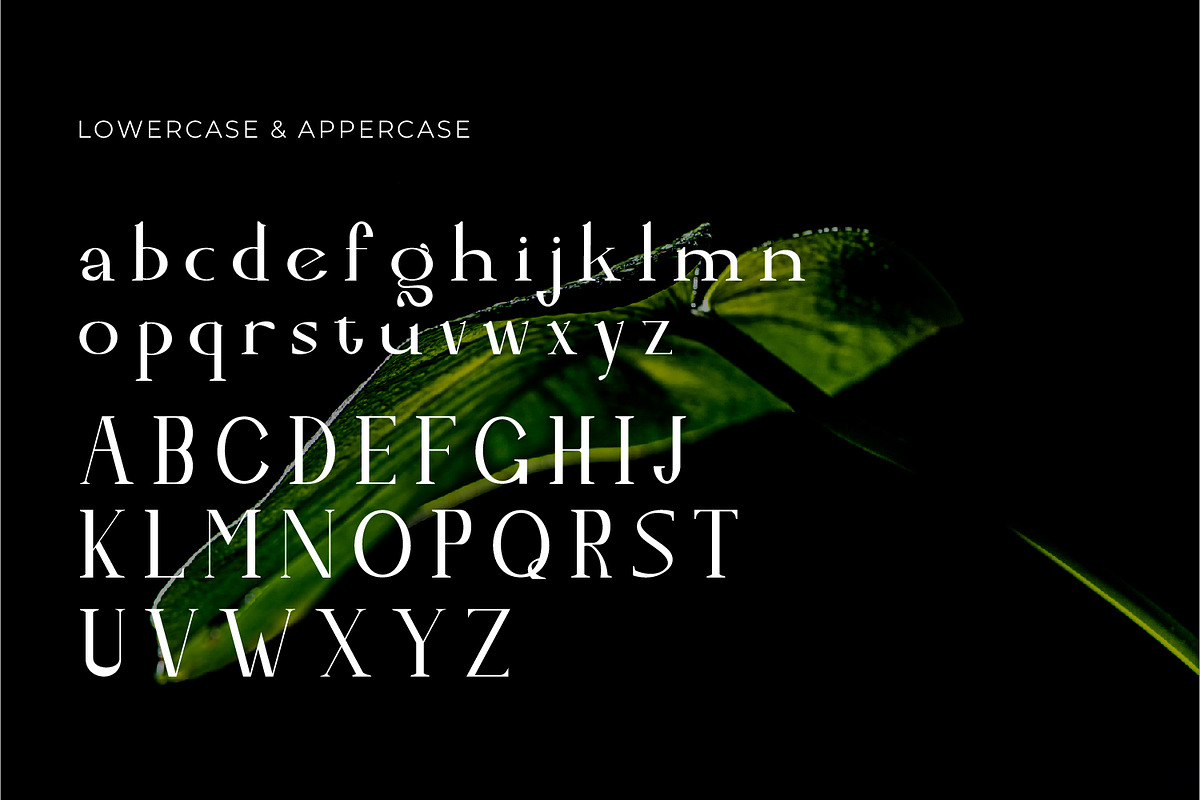 Leubrik - Serif Typeface Font, a Serif Font by Rishsketch (Photo 11 of 15)