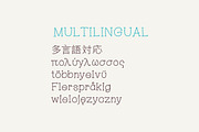 Aranza Serif, a Serif Font by ozonostudio (Thumbnail 2 of 4)