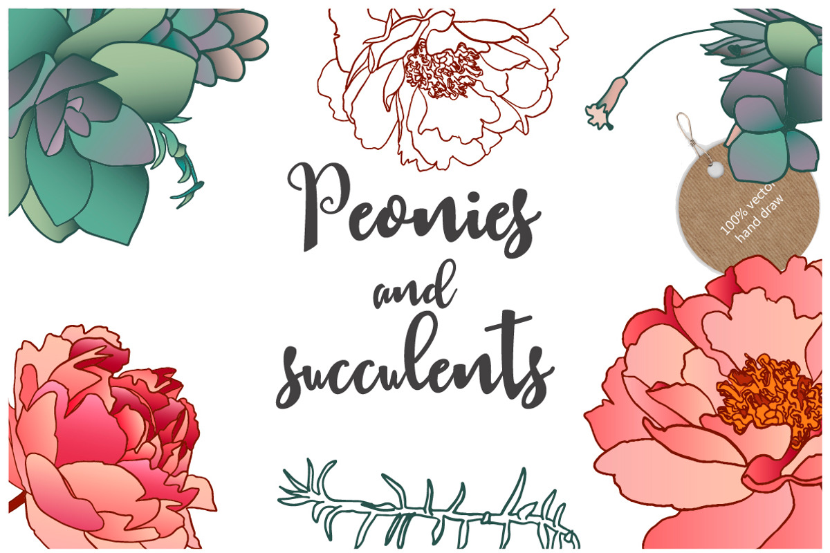 30% OFF - Peonies and succulents., a Decorative Illustration by Funny-sunny (Photo 1 of 12)