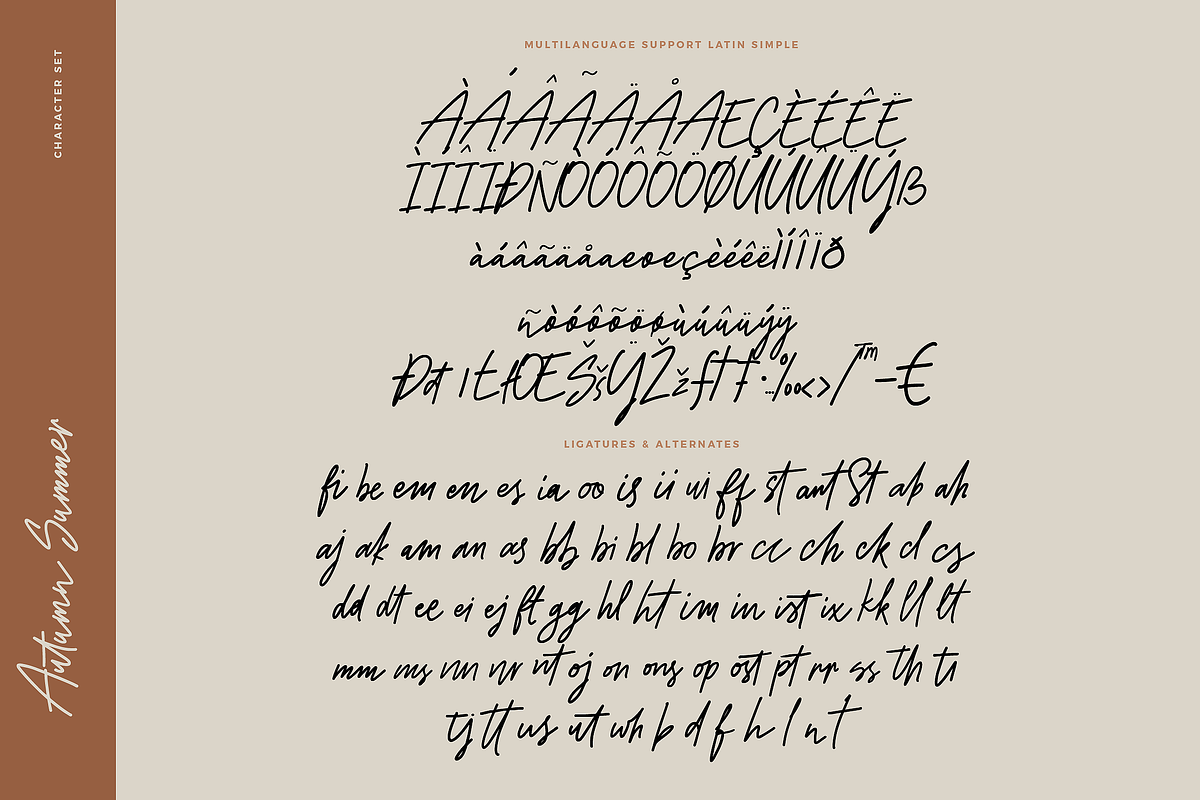 Autumn Summer Handwriting Script, a Script Font by Fortunes Co