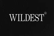 Wildest - Classical Serif, a Serif Font by Tammami (Thumbnail 1 of 9)