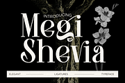 Megi Shevia Modern Serif Font, a Serif Font by Graphicxell (Thumbnail 1 of 9)