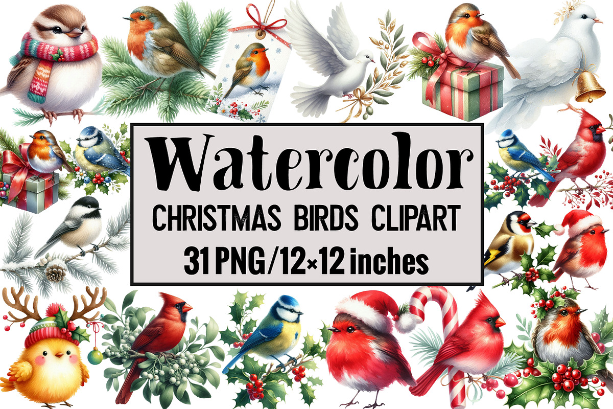 Christmas Birds Clipart, an Illustration by Design Market (Photo 1 of 4)