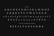 Aurellia - A Vintage Display Font, a Script Font by Tom Chalky (Thumbnail 6 of 7)