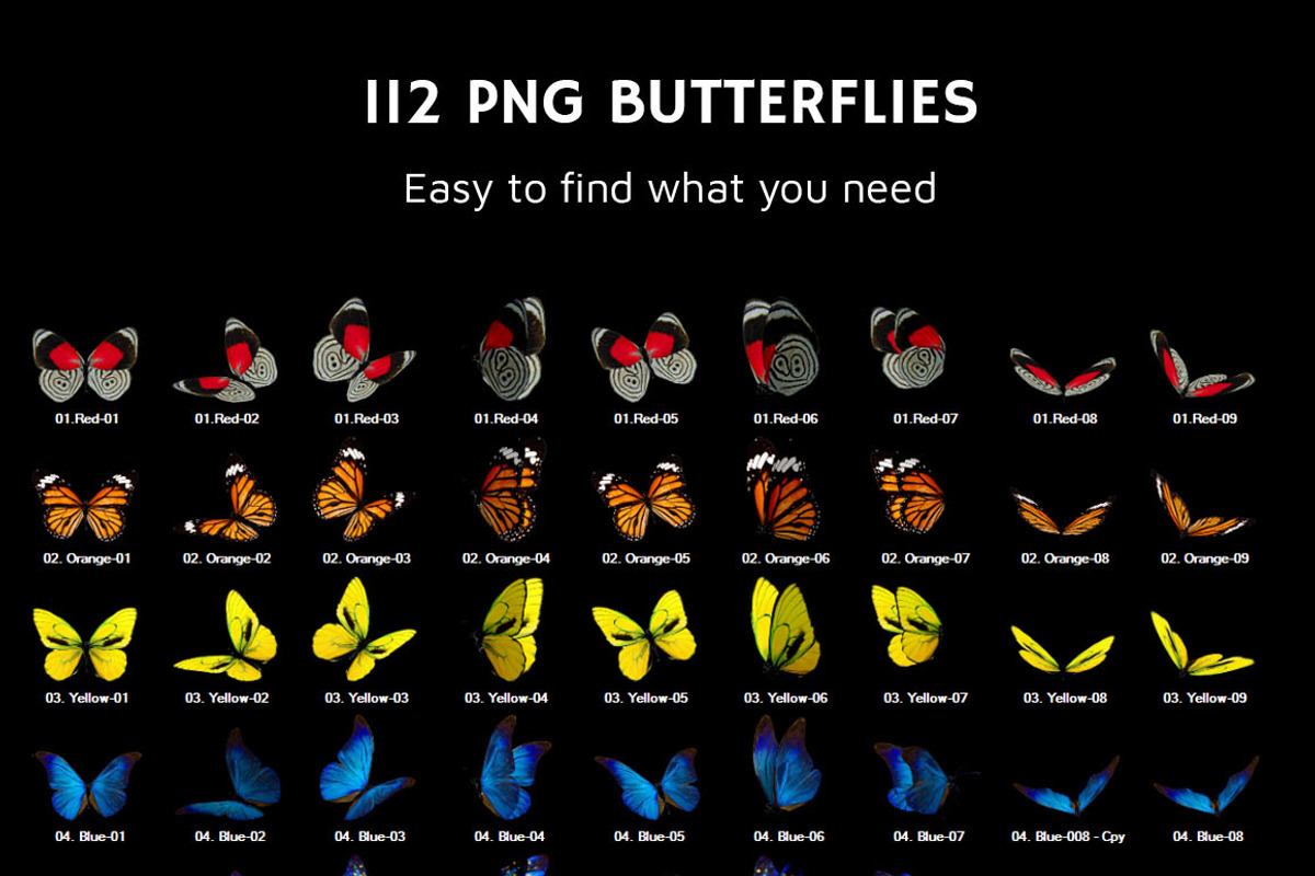 112 Butterfly Photo Overlays 2.0, an Action Add-On by PhotoEffects.Store