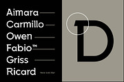 Nesia Sans Font, a Slab Serif Font by Ryan Rivaldo Vierra (Thumbnail 4 of 11)
