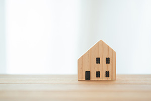 House model  and space.