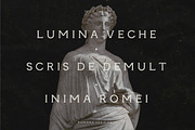 Romara | Elegant & Modern Serif Font, a Font by Wild Theory (Thumbnail 15 of 16)