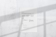 Branding Kit, a Branding & Logo Template by The Denizen Co. (Thumbnail 8 of 9)