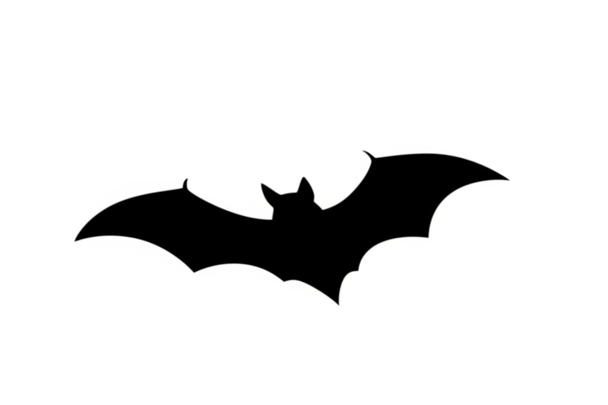 Minimal Horror Bat Silhouette Bundle, an Illustration by Designs_River (Photo 50 of 51)