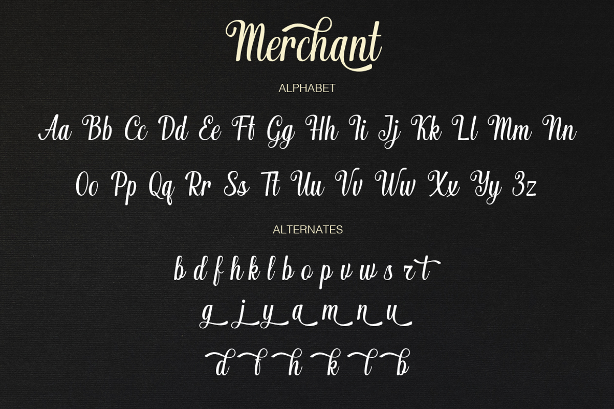 Merchant, a Script Font by Larin Type Co. (Photo 9 of 9)