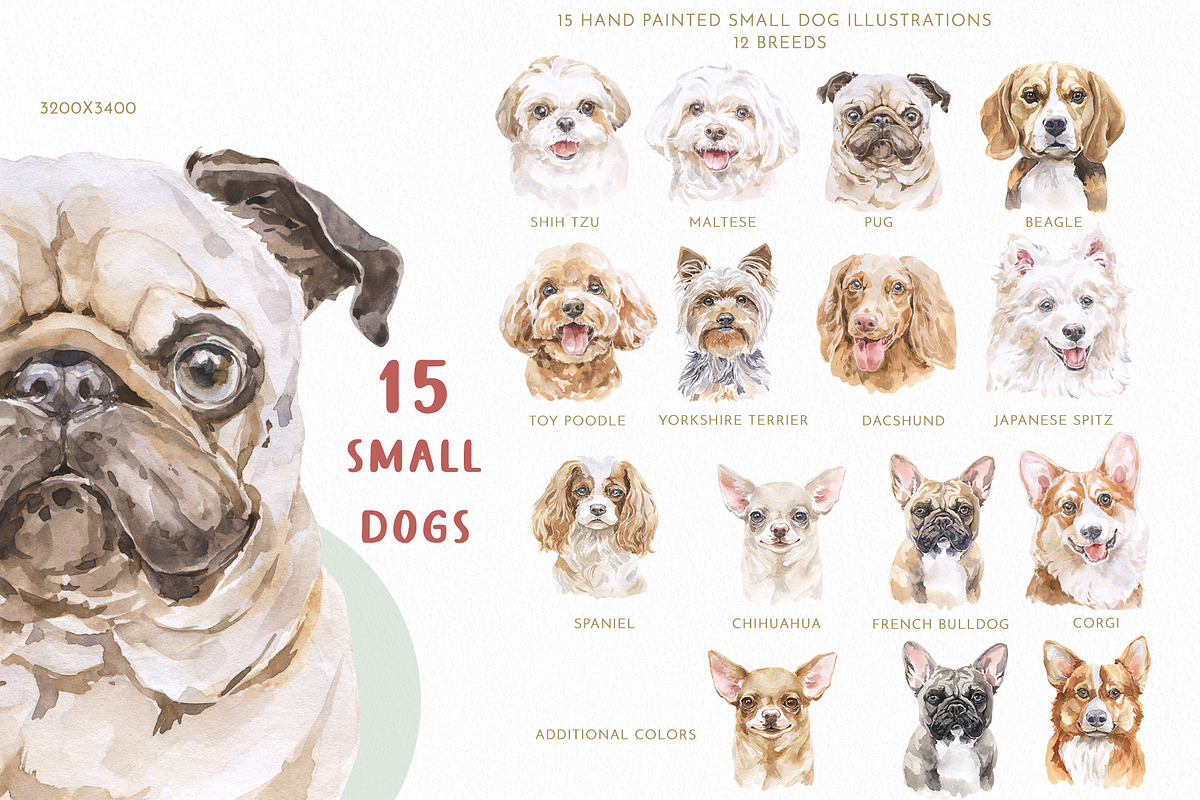Dog Family Character Creator Clipart, an Animal Illustration by Cat In Colour (Photo 4 of 19)