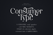 Consumer Type - elegant font family, a Serif Font by VP Fonts (Thumbnail 1 of 18)
