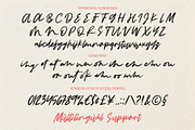 Feminous Font - Elegant Brush Script, a Script Font by Invasi Studio (Thumbnail 11 of 11)