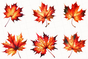 Watercolor Autumn Leaf Clipart, an Illustration by OK Design (Thumbnail 5 of 5)