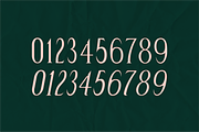 Salem - A Sharp Condensed Serif, a Serif Font by Like Magic Studio (Thumbnail 5 of 8)