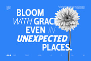 Shansio Sans Serif Font Family, a Sans Serif Font by Graphicxell (Thumbnail 7 of 10)