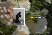 Delicate Blurry Floral Backgrounds, a Background Graphic by eclosque (Thumbnail 16 of 31)