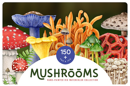 Mushrooms Big Watercolor Set, a Food Illustration by AnitaPol