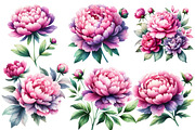 Pink & Purple Peony Flowers Clipart, an Illustration by Designworld (Thumbnail 4 of 6)