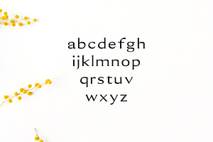 Erynn Serif Font